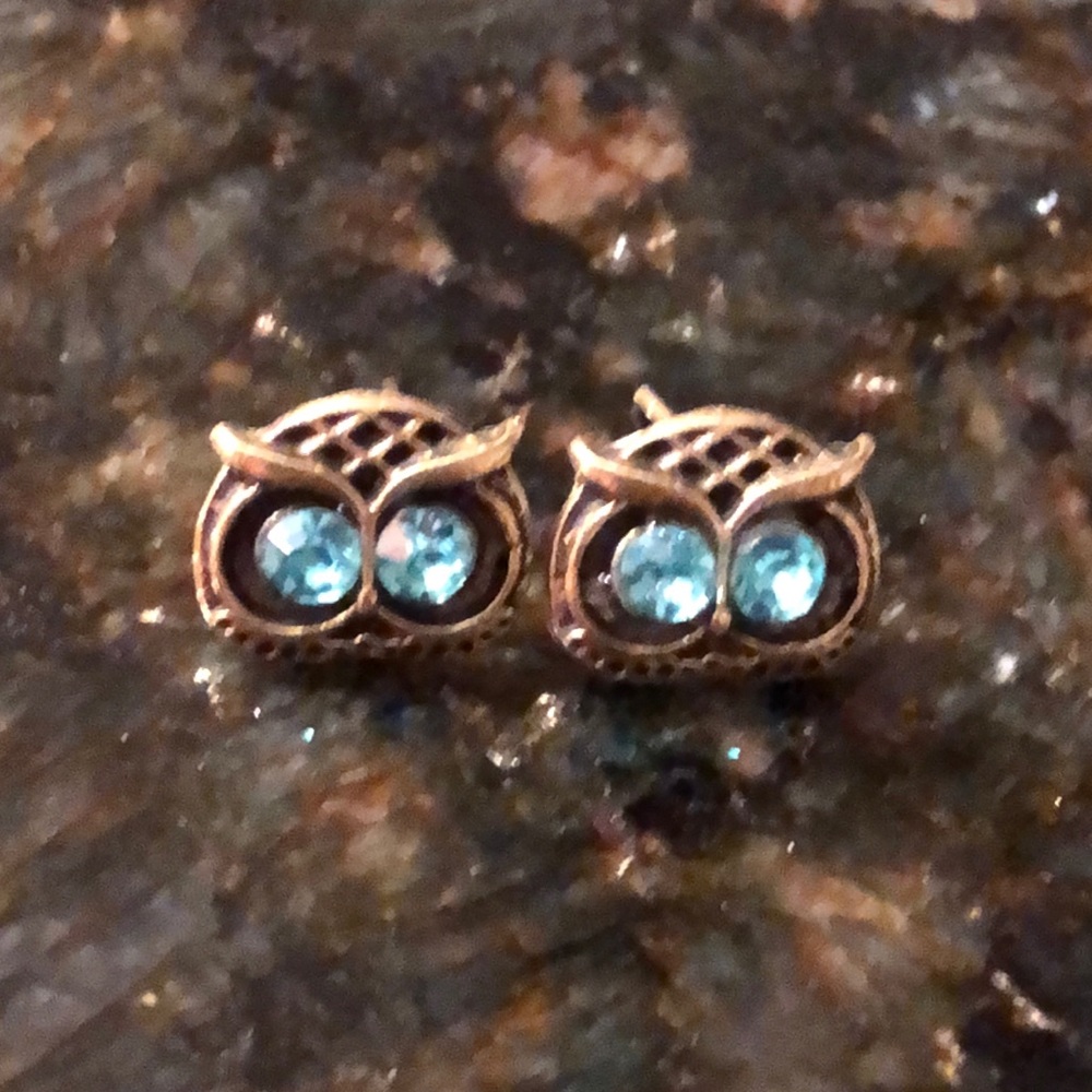 - Owl earrings with Blue gem like eyes